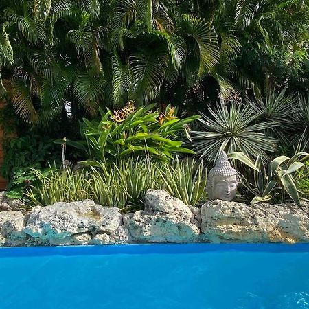 Kaz Bleu Karaibes Villa Сен-Ан Екстериор снимка