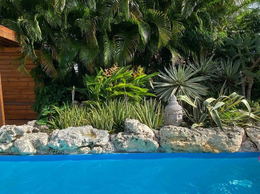 Kaz Bleu Karaibes Villa Сен-Ан Екстериор снимка